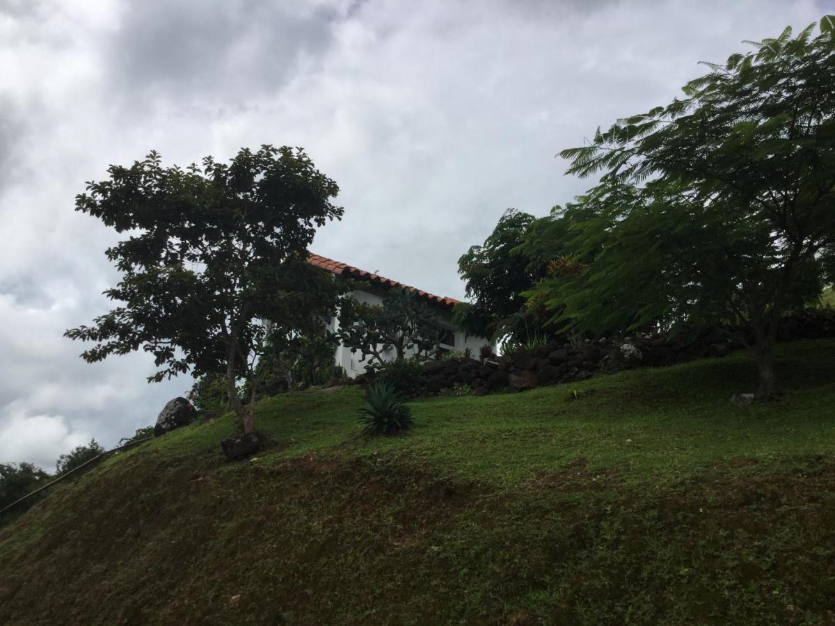 Hawk's Nest Bed&Breakfast La Laguna de San Carlos Exterior foto