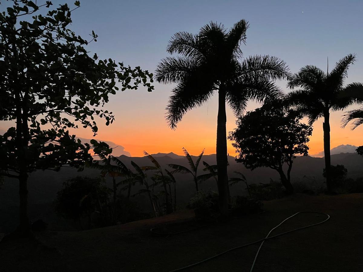 Hawk's Nest Bed&Breakfast La Laguna de San Carlos Exterior foto