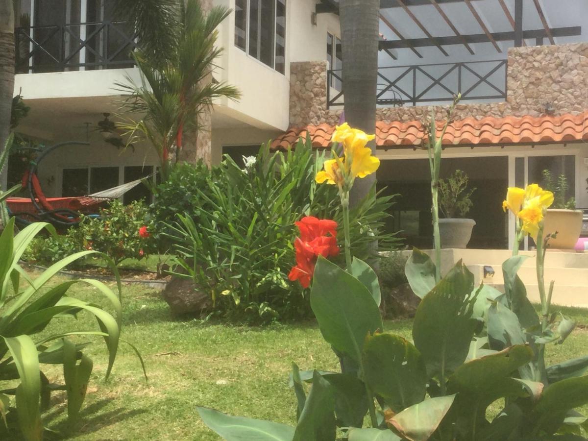 Hawk's Nest Bed&Breakfast La Laguna de San Carlos Exterior foto